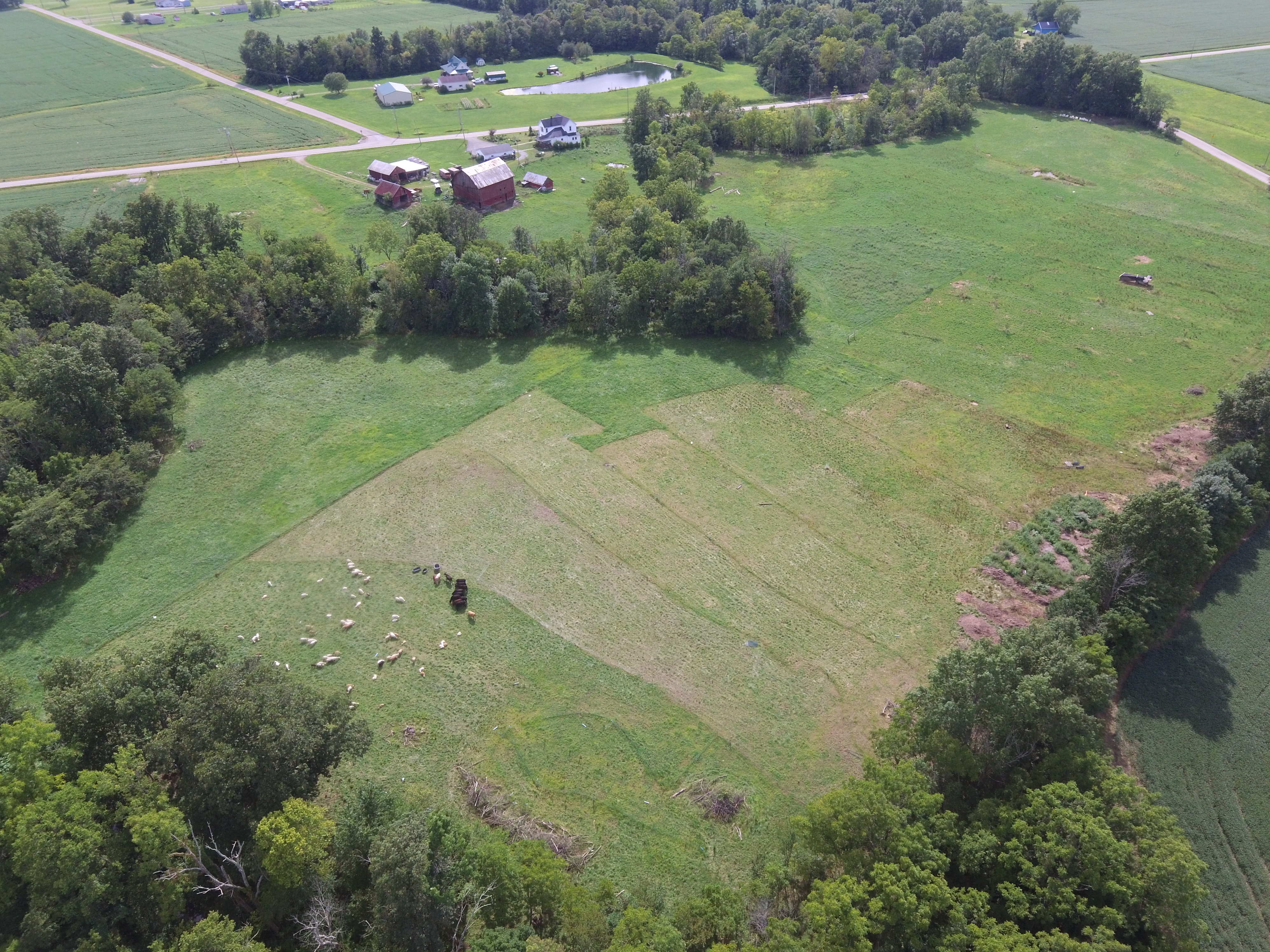 How is all this Possible? – Semper Grazing Ranch Gone Wild